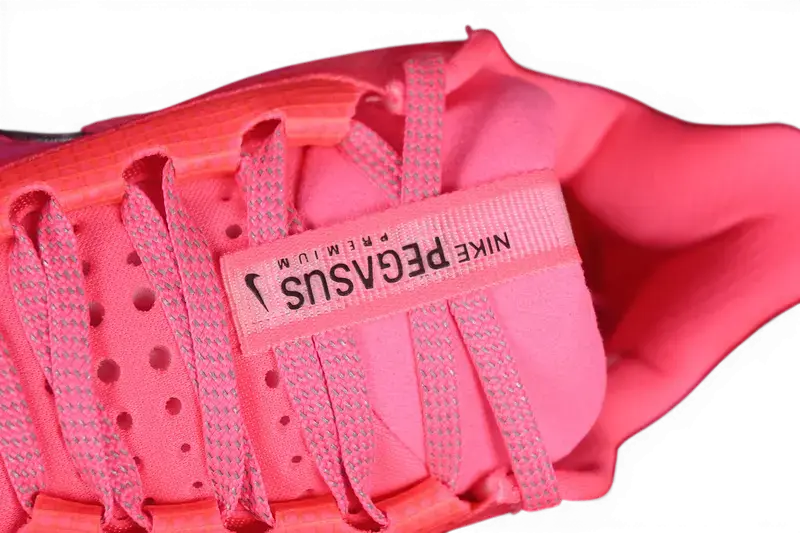 Nike Pegasus Premium Hyper Pink Running Shoes HQ2592-600